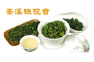 安溪铁观音加盟安溪铁观音加盟费