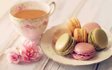 魔法甜心县级代理费