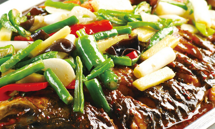 独一味万州烤鱼加盟