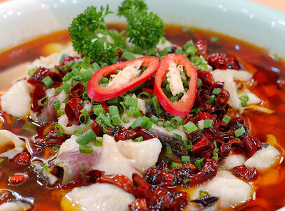 顺水鱼馆投资方式