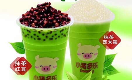 小猪多乐代理费