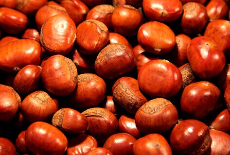 刘二贡栗代理费