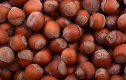 刘二贡栗加盟费