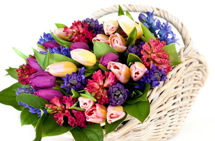 小丑鲜花加盟条件