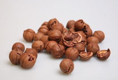 高粮地旗舰店加盟费