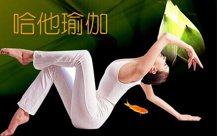 哈他瑜伽加盟流程