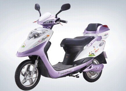 立马电动车加盟