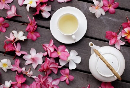 她喜爱花草生活馆加盟