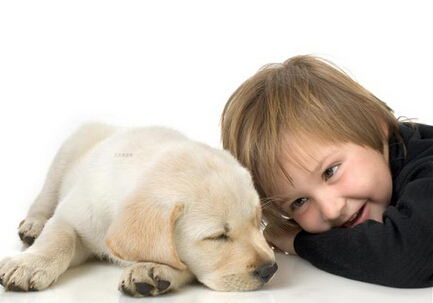 贵宾之家加盟费