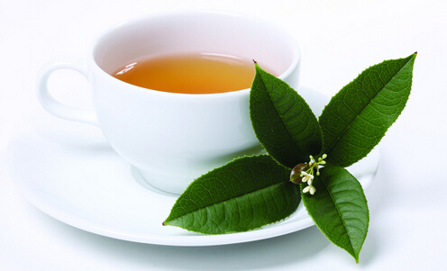 怀素堂花草茶加盟