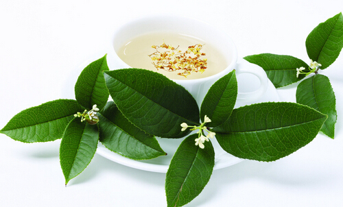 怀素堂花草茶加盟