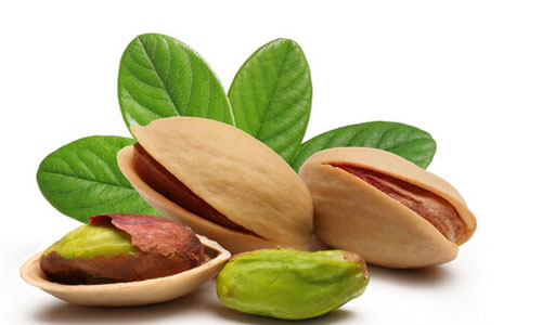 老婆大人加盟费