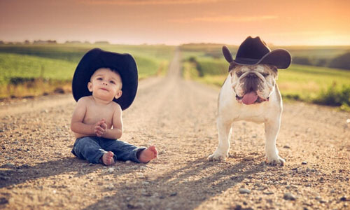 宠物宝宝加盟费