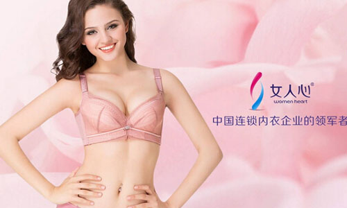 女人心内衣加盟费