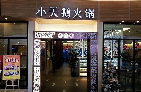 小天鹅火锅加盟费