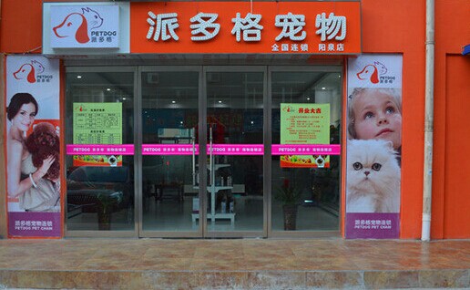 派多格宠物店加盟费是多少？10万元左右就能开店当老板！