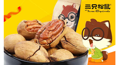三只松鼠加盟需要多少钱？小小投资助你人生致富即可起航！