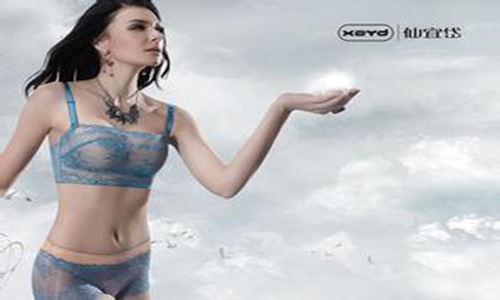 仙宜岱内衣怎么样，加盟店如何控制成本。