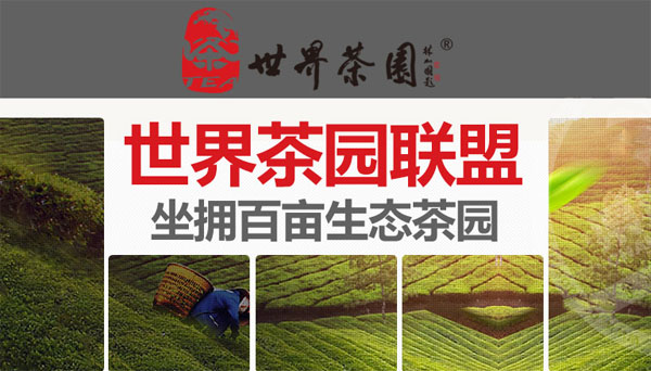 世界茶园加盟店