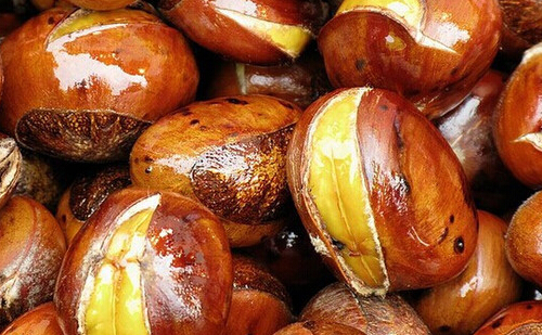 金栗王加盟金栗王加盟需要投资多少钱？