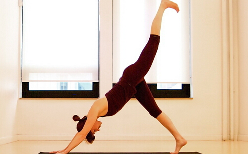 静园瑜伽需要多少钱？