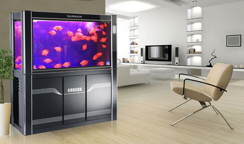 森森水族加盟费多少钱？