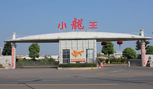 小龙王槟榔加盟店