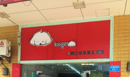 小狗比格加盟费是多少？2万元即可开店！