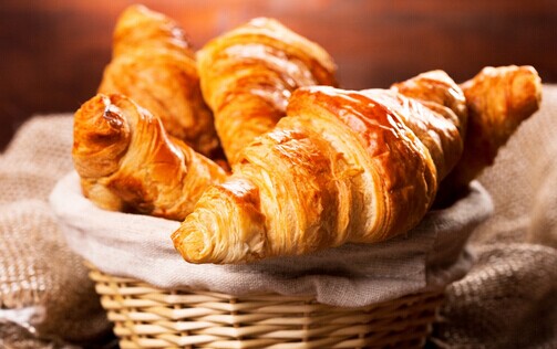 苹果花园面包加盟费