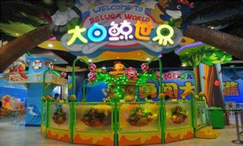 儿童乐园投资大概多少钱?