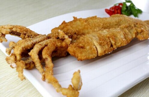 轰炸大鱿鱼加盟费