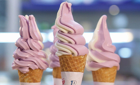 布兰妮奶茶加盟费