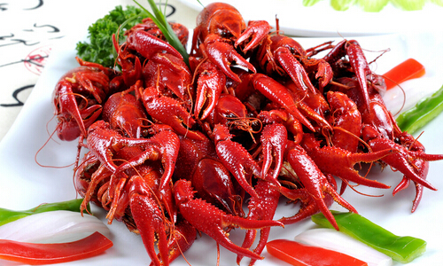 魅惑小龙虾加盟费