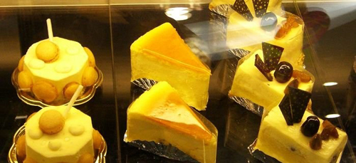 浮力森林加盟店多少钱？