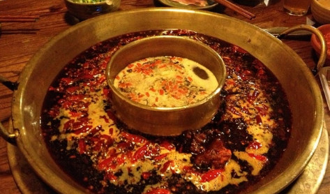 杨家火锅加盟需要多少钱？初始投资47.3万元！