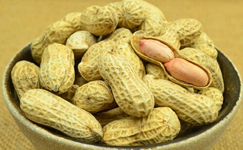 王胖子炒货加盟费