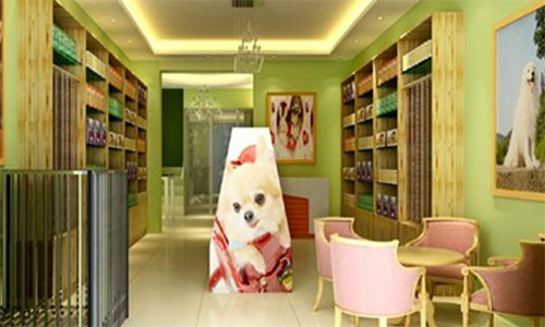 开个小宠物店要多少钱？