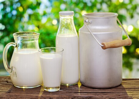 俏牛儿鲜奶加盟费