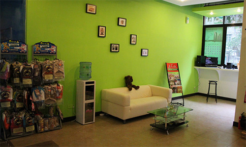 加盟开宠物店需要多少钱？