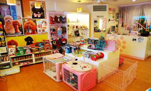 加盟一家宠物店需要多少钱？