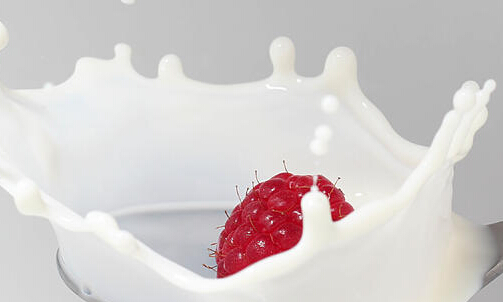 柏拉蒙鲜奶吧加盟费