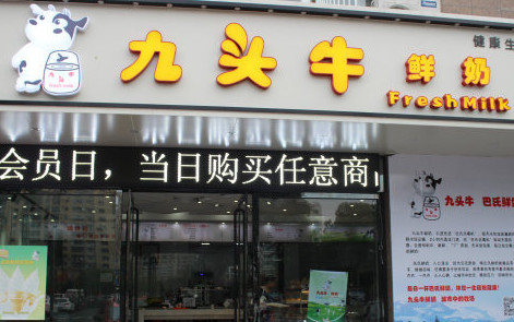 九头牛鲜奶加盟需要多少钱?只要16.2万元就能加盟成功! 九头牛鲜奶加盟需要多少钱?只要16.2万元就能加盟成功!
