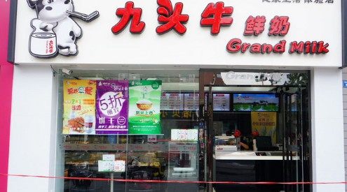 九头牛鲜奶加盟店需要多少钱？