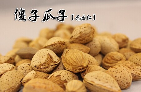 傻子瓜子加盟费