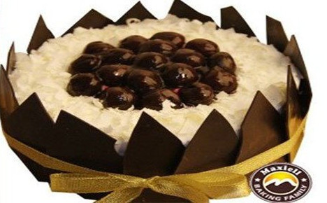 多乐滋蛋糕加盟费是多少?9.3万元就能加盟成功! 多乐滋蛋糕加盟费是多少?9.3万元就能加盟成功!