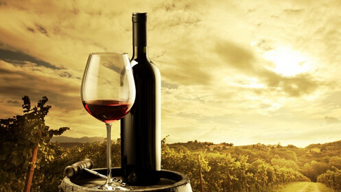 蓝菲红酒加盟费