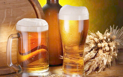 百威扎啤加盟费