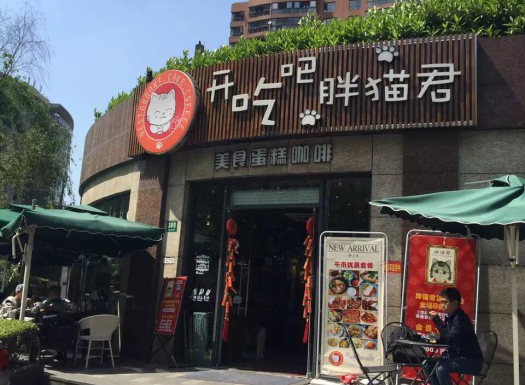 开吃吧胖猫君