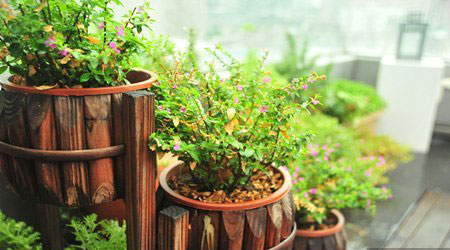 木鸭梨露天餐厅加盟需要多少钱？