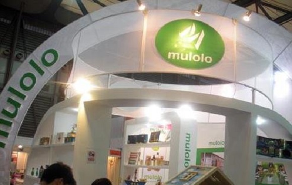 木佬佬玩具加盟